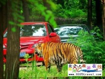 秦皇島野生動物園景點門票優(yōu)惠88元起團，一人也成團，團隊更優(yōu)惠，咨詢電話0335-3522599: