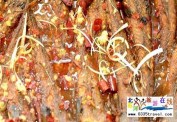 北戴河吉程海鮮特色酒店