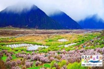 西藏林芝桃花節(jié)及布達拉宮大昭寺攻略